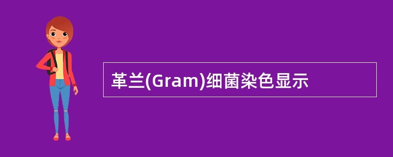 革兰(Gram)细菌染色显示