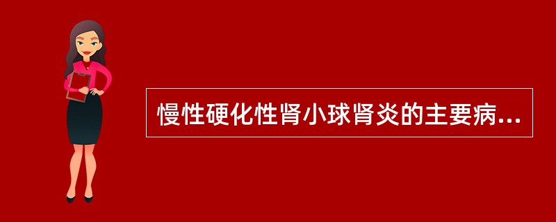 慢性硬化性肾小球肾炎的主要病理特点是A、肾间质纤维化，肾小球和肾小管病变不明显B