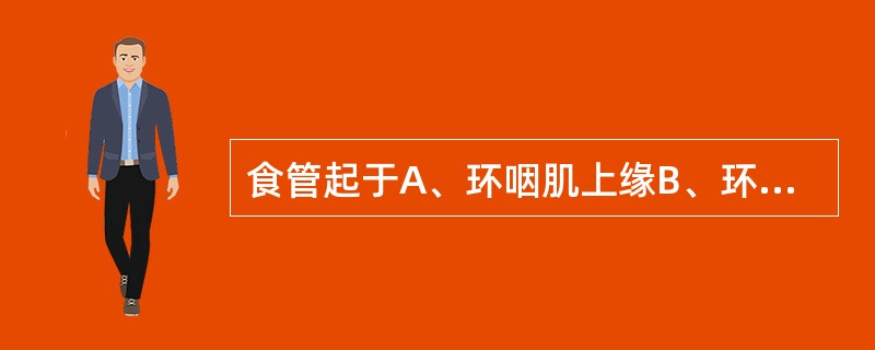 食管起于A、环咽肌上缘B、环咽肌下缘C、咽缩肌上缘D、咽缩肌下缘E、环甲肌下缘