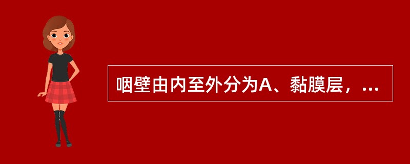 咽壁由内至外分为A、黏膜层，黏膜下层，肌层，外膜层B、黏膜层，黏膜下层，纤维层，