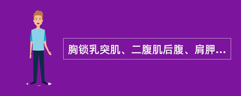 胸锁乳突肌、二腹肌后腹、肩胛舌骨肌围成