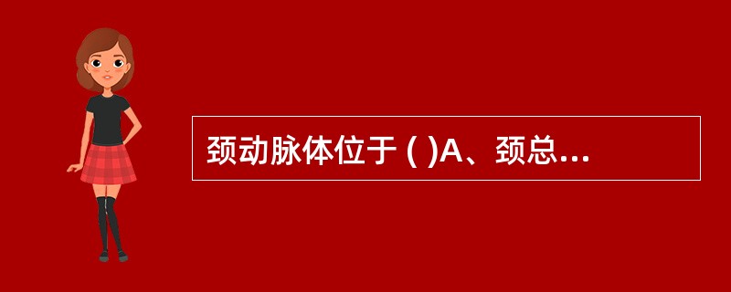 颈动脉体位于 ( )A、颈总动脉分叉处的前方B、颈总动脉分叉处的后方C、颈外动脉