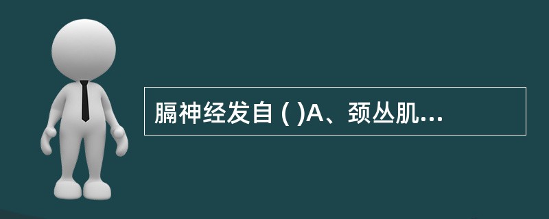 膈神经发自 ( )A、颈丛肌支B、颈丛皮支C、臂丛肌支D、臂丛皮支E、臂丛后支