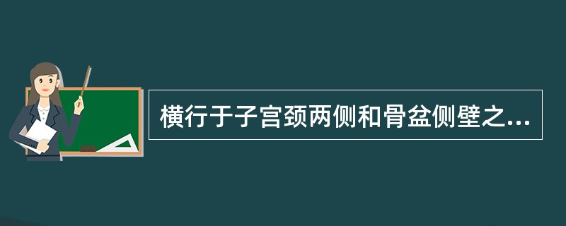 横行于子宫颈两侧和骨盆侧壁之间的韧带是A、圆韧带B、阔韧带C、主韧带D、宫骶韧带