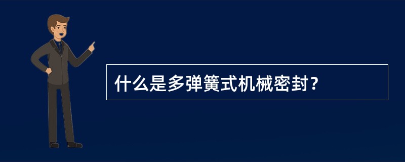 什么是多弹簧式机械密封？