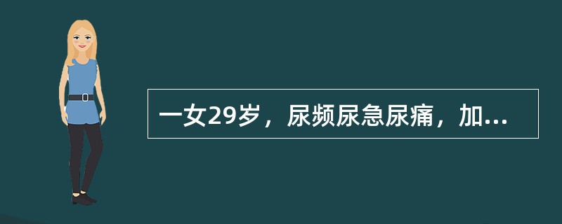 一女29岁，尿频尿急尿痛，加重时尿末有血尿，夜尿7～8次，尿检查：红细胞白细胞，