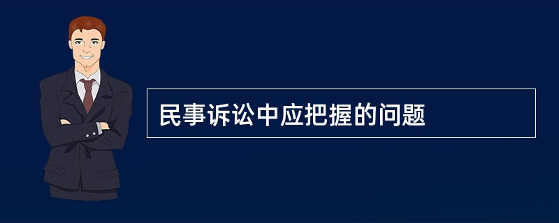 民事诉讼中应把握的问题