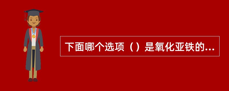 下面哪个选项（）是氧化亚铁的化学式。