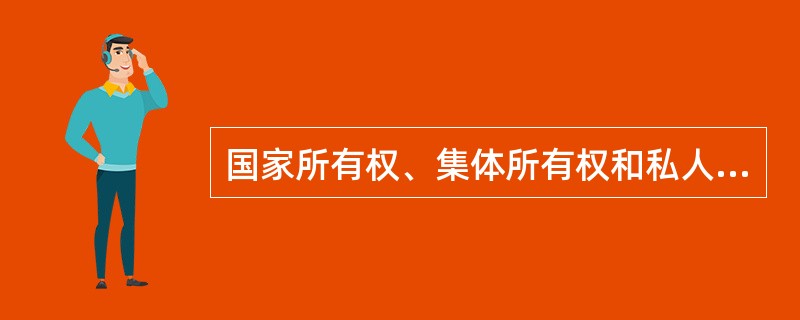 国家所有权、集体所有权和私人所有权的保护