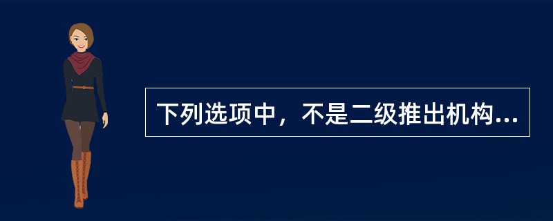 下列选项中，不是二级推出机构特点的有（）。