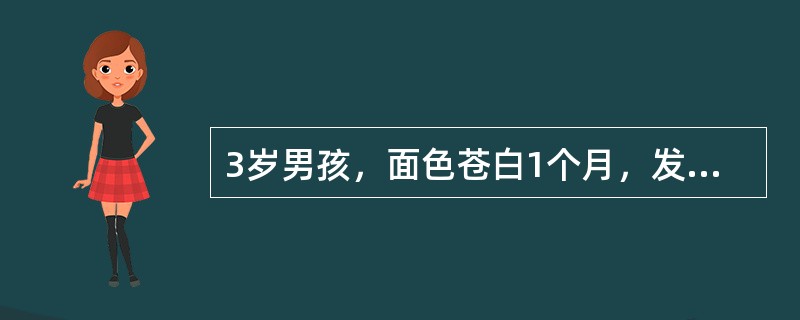 3岁男孩，面色苍白1个月，发热2周，皮肤瘀斑1周。查体：皮肤黏膜苍白，双下肢可见