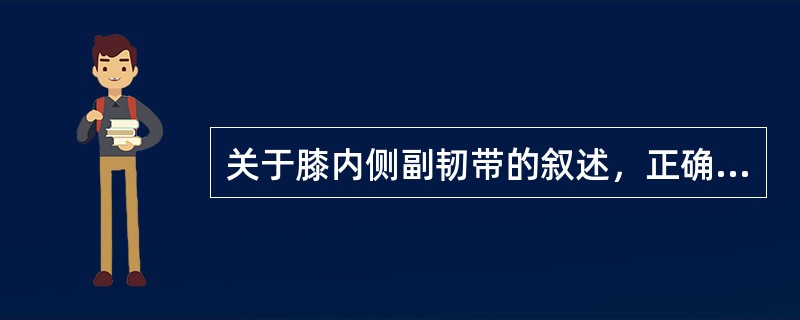 关于膝内侧副韧带的叙述，正确的是（）