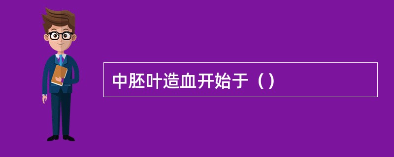 中胚叶造血开始于（）