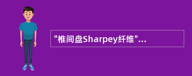 "椎间盘Sharpey纤维"，MRI检查（）