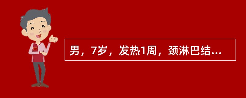 男，7岁，发热1周，颈淋巴结肿大，体检：咽充血，扁桃体Ⅱ度肿大，见较多分泌物，肝