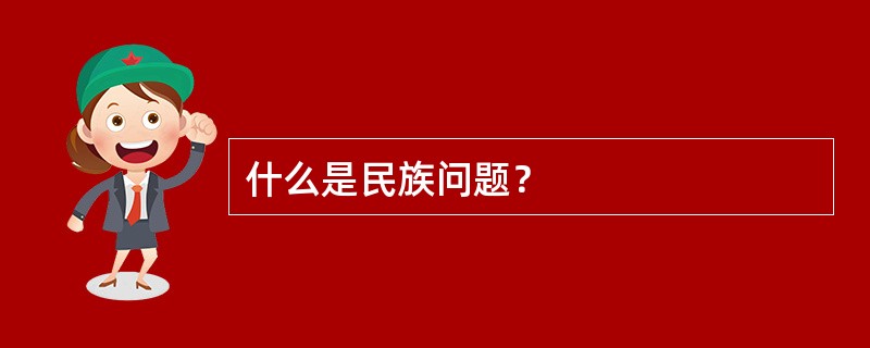 什么是民族问题？