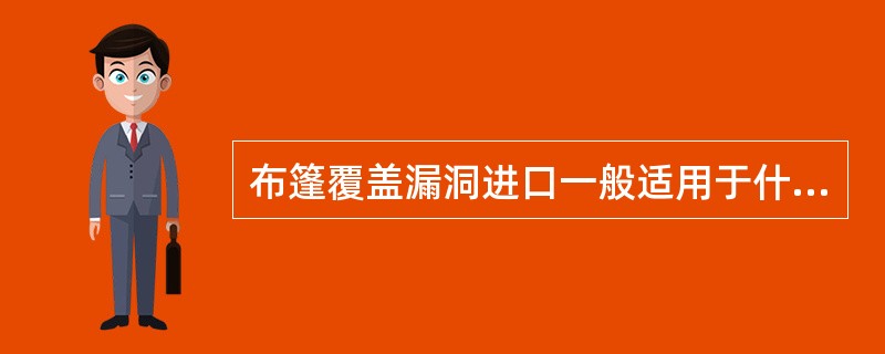 布篷覆盖漏洞进口一般适用于什么情况？