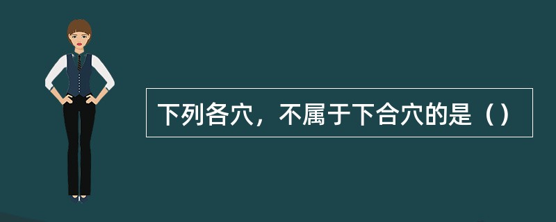 下列各穴，不属于下合穴的是（）