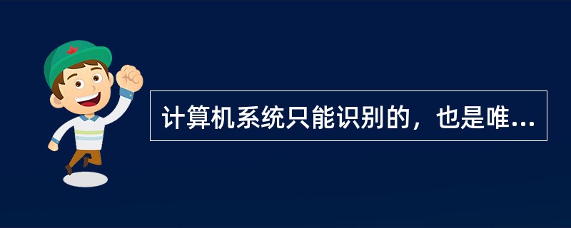 计算机系统只能识别的，也是唯一能识别的语言是（）。