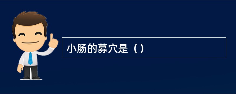 小肠的募穴是（）