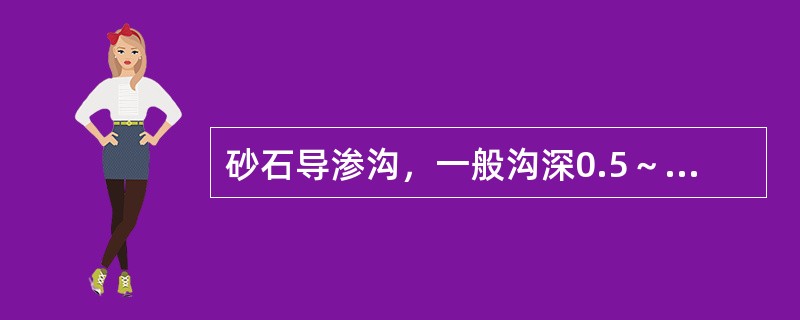 砂石导渗沟，一般沟深0.5～1.Om，宽0.5～0.8m，顺堤坡（）的横沟每隔6