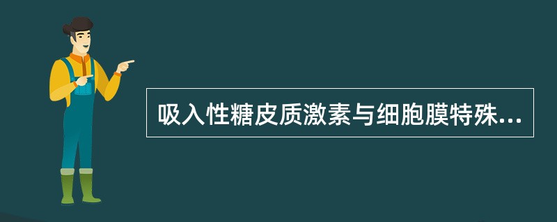 吸入性糖皮质激素与细胞膜特殊位点结合后可导致气道血管平滑肌（）。