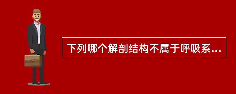 下列哪个解剖结构不属于呼吸系统？（）