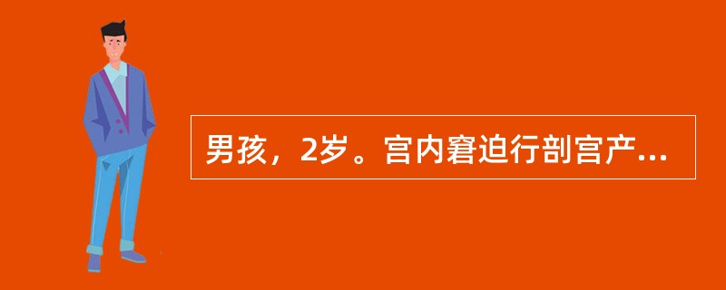 男孩，2岁。宫内窘迫行剖宫产娩出。出生时苍白窒息，出生体重为3.5kg。生后6个