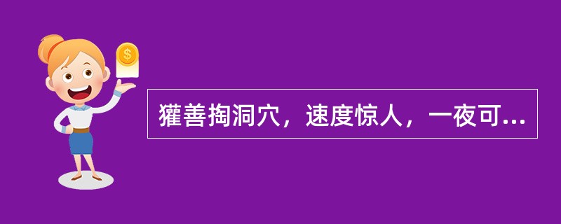 獾善掏洞穴，速度惊人，一夜可掏（）。