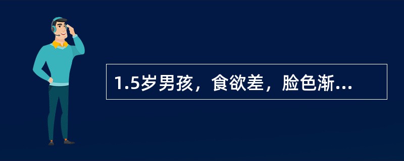 1.5岁男孩，食欲差，脸色渐苍白1年、肝脾大，Hb65g/L，WBC7.5×10