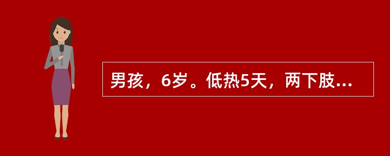 男孩，6岁。低热5天，两下肢及臀部有出血性皮疹，高出皮面，伴腹痛，便血一次，可能