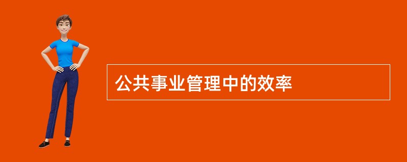 公共事业管理中的效率