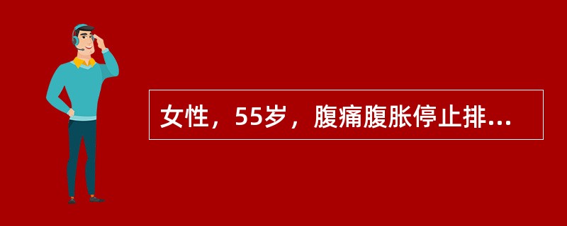 女性，55岁，腹痛腹胀停止排便排气2天，3年前有胃大部切除术史，初步诊断为()