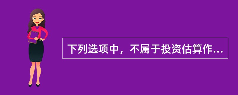 下列选项中，不属于投资估算作用的是()。