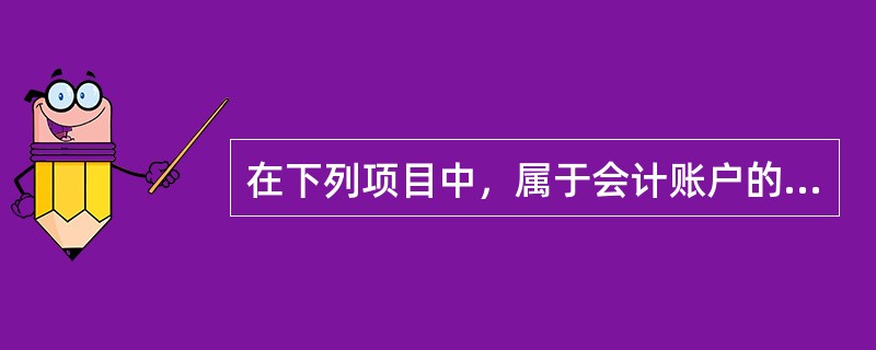 在下列项目中，属于会计账户的金额要素的是（）。