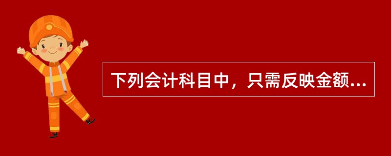 下列会计科目中，只需反映金额指标的有（）。