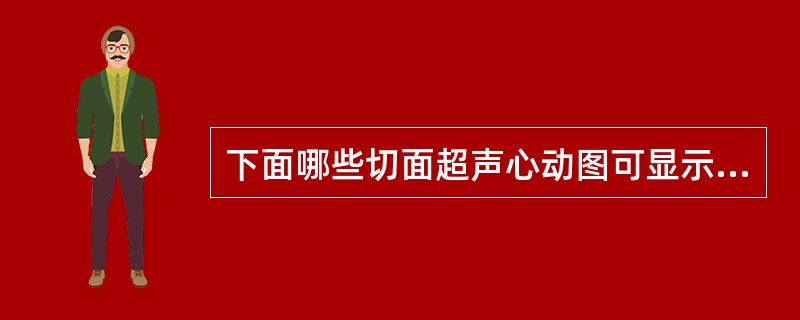 下面哪些切面超声心动图可显示房间隔缺损？（）