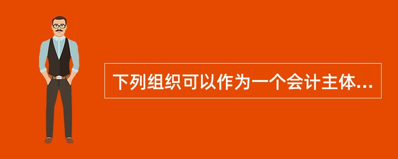 下列组织可以作为一个会计主体进行会计核算的有（）。