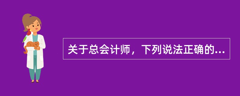 关于总会计师，下列说法正确的有（）。