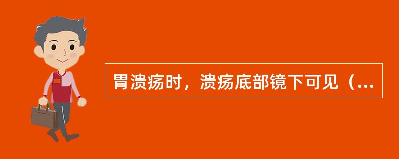 胃溃疡时，溃疡底部镜下可见（）。