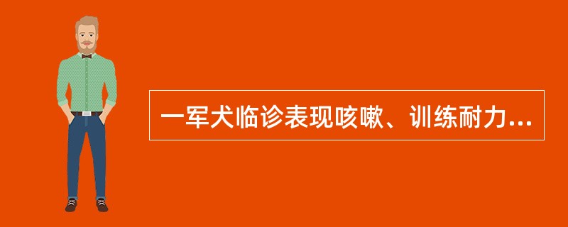 一军犬临诊表现咳嗽、训练耐力下降、体重减轻、呼吸困难、体温升高、腹围增大。后期贫