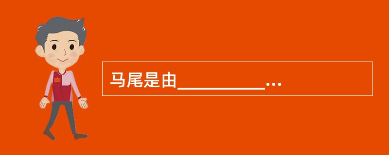 马尾是由____________～尾节共____________对脊神经根组成。