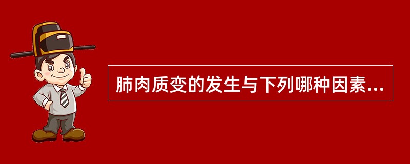 肺肉质变的发生与下列哪种因素关系密切（）。