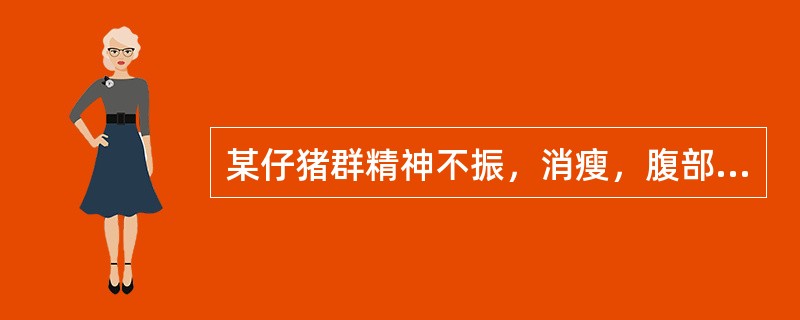 某仔猪群精神不振，消瘦，腹部膨大，腹泻。粪检见大量壳薄透明的卵圆形虫卵，内含折刀