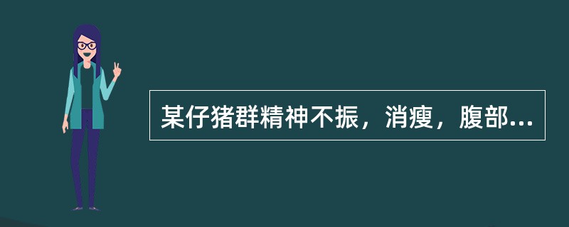 某仔猪群精神不振，消瘦，腹部膨大，腹泻。粪检见大量有凹凸不平的蛋白膜、黄褐色或淡