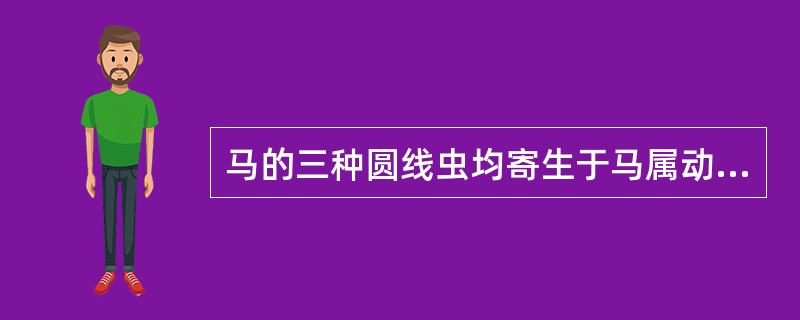 马的三种圆线虫均寄生于马属动物的（）