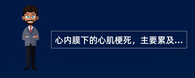 心内膜下的心肌梗死，主要累及心室壁心腔侧1/3的心肌，但不波及肉柱和乳头肌。