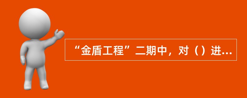 “金盾工程”二期中，对（）进行了基础设施优化完善。