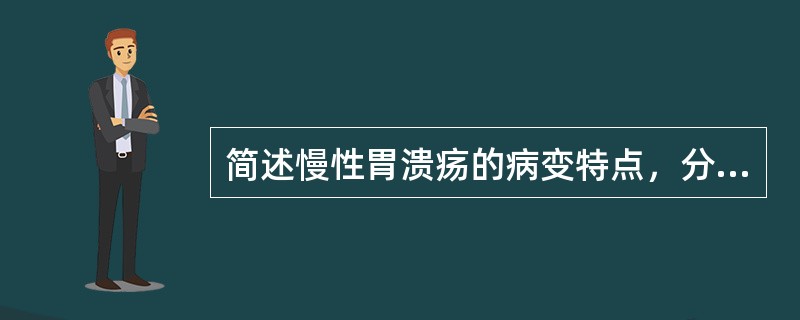 简述慢性胃溃疡的病变特点，分析溃疡病不易愈合的局部因素。