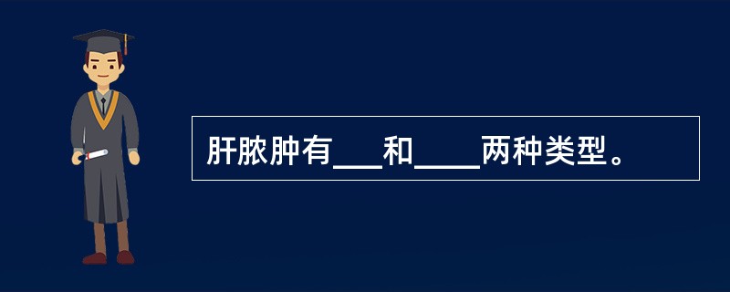 肝脓肿有___和____两种类型。